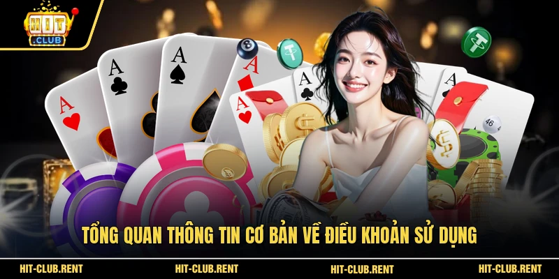 Điều Khoản Sử Dụng 1 Tổng quan thông tin cơ bản về điều khoản sử dụng